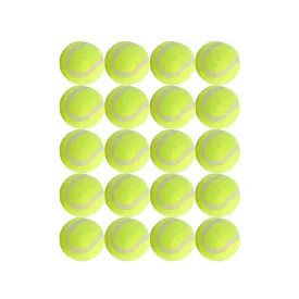 Dog Tennis Balls 20 Pack Pet Tennis Ball for Small Dogs Premium Fetch Toy Non-Toxic Non-Abrasive Material