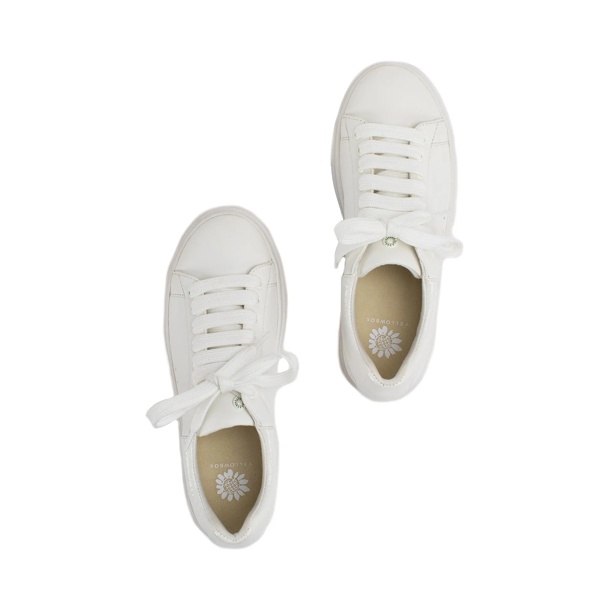 Evodia Lace Up Sneaker